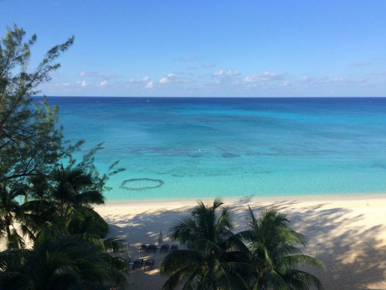 Amazing place, right on the beach, but still private